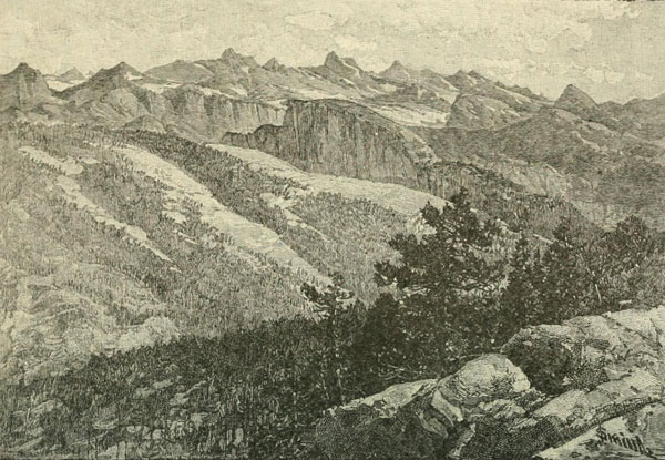 Weißtannenwald auf den Moränen der Hoffman- und Tenaya-Gletscher
