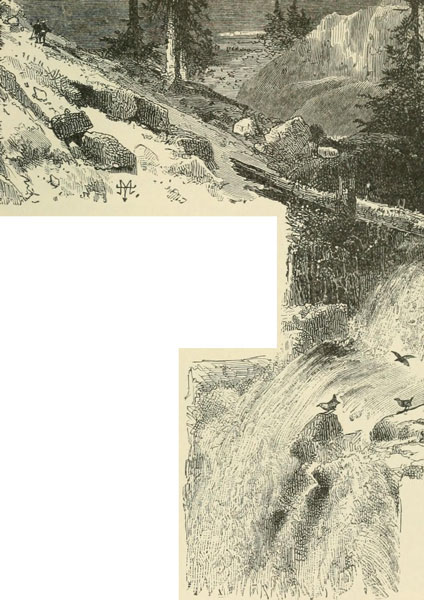 EINES DER SPÄTSOMMERLICHEN FUTTERPLÄTZE DER DRÜSENMUSCHEL