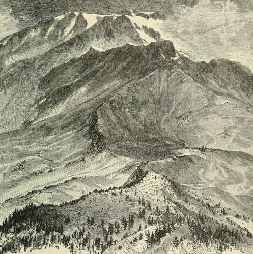 Rand der Waldgrenze am Mount Shasta
