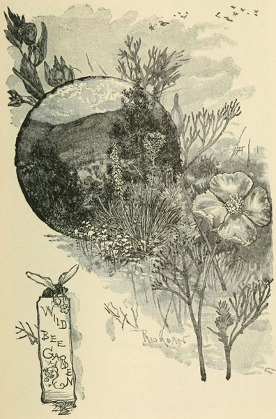 WILDBIENENGARTEN