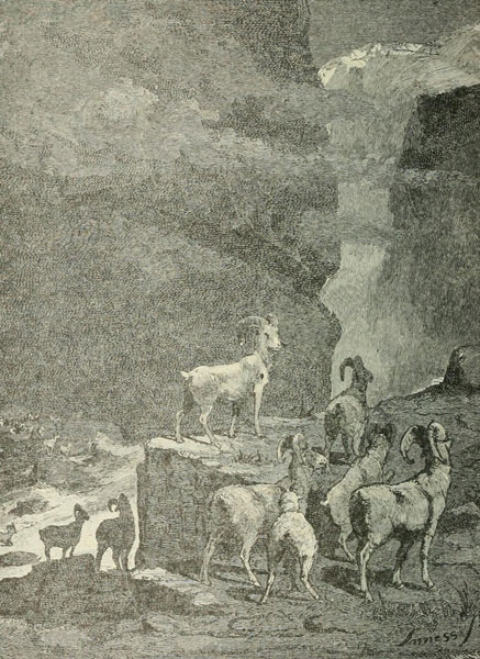 ÜBERQUERUNG EINES CAÑON-BACHES