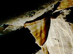 photography