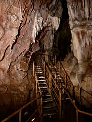 photography
