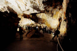 photography