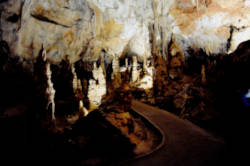 photography