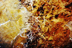photography