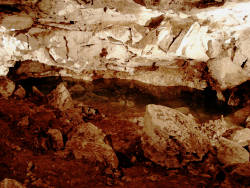 photography