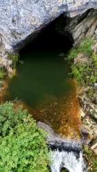 photography